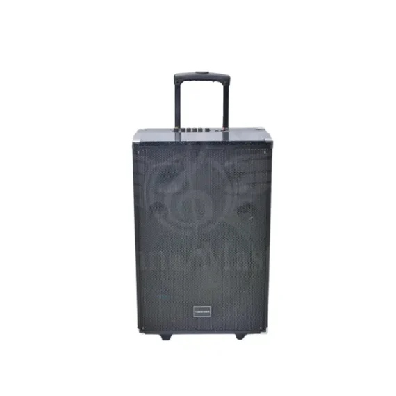 Tagwood 10 inch Trolley Speaker 10A