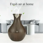Rebune AD-23-1903 Aroma Diffuser and Humidifier